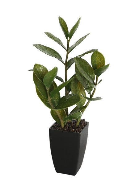 w Artificial 46cm Potted Zanzibar