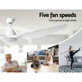 Ceiling Fan 64'' DC Motor With Light LED Remote Control Fans 3 Blades