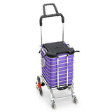 Trolley Carry Portable Folding Frame And Bag