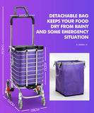 Trolley Carry Portable Folding Frame And Bag