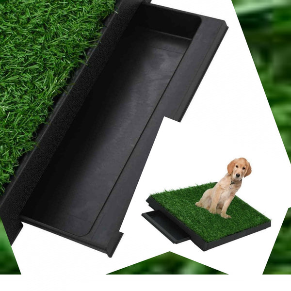 Pets Hygiene New Design Practical Loo  jolkimidog