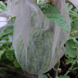 Plants Trees Mesh cover nice practical design  jolprotbi