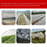 Plants Trees Mesh cover nice practical design  jolprotbi