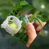 Garden Plants Folwers items packs of 100 Joltre9400