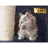 Pet 244 cm Tall Cat Kitten fun area Tree for playing,Scratching, climbing Post Tower Dark Grey scratcher