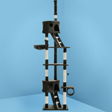 Pet 259cm Tall Cat Kitten fun area Tree for playing Scratching, climbing Post Tower scratcher