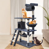 Pet 141 cm Tall Cat Kitten fun area Tree for playing Scratching, climbing Post Tower Scratcher