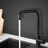 Tap Water Tap Mixer Kitchen Faucet Tap Swivel Spout WELS Black