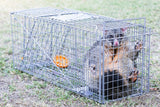 Cage Safe Easy Trap animal Trap 66 x 23 x 25cm (L x W x H) Humane Possum Cage Collapsible  Safe animal Catch