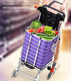 Trolley Carry Portable Folding Frame And Bag