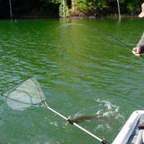 Sports Fishing Equipment Folding Adjustable Practical