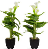 Nice Artificial Plants Plastic Forever Green