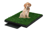 Pets Hygiene New Design Practical Loo  jolkimidog