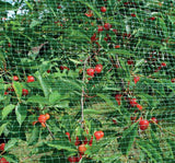 Plants Trees Mesh cover For Big Areas to Protect