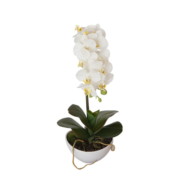 w Artificial 46cm Butterfly Orchid - White